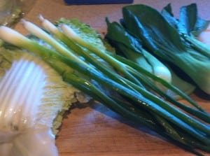 Fresh Vegetables: Napa Cabbage, Green Onions and Baby Bok Choy
