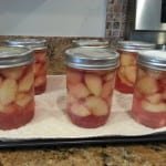 Home Canned Peaches