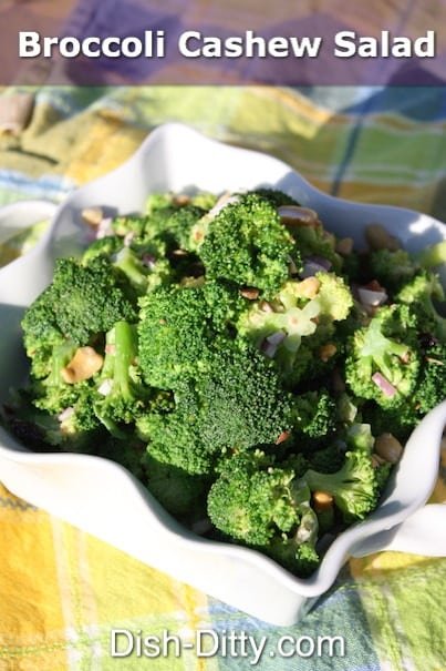 Broccoli Cashew Salad by Dish Ditty