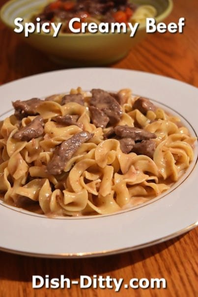 Spicy Creamy Beef & Noodles by Dish Ditty Recipes