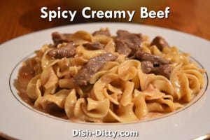 Spicy Creamy Beef & Noodles by Dish Ditty Recipes