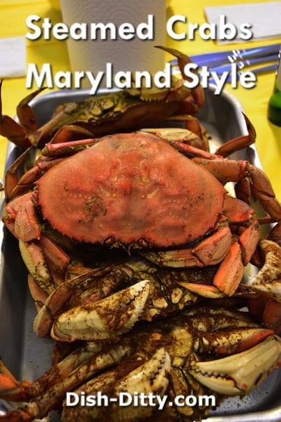 Maryland Style Steamed Crab by Dish Ditty Recipes