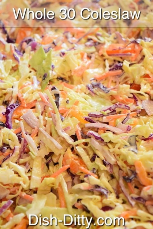 Whole 30 Coleslaw Recipe by Dish Ditty Recipes